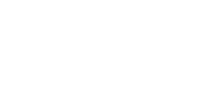 Conscience IQ